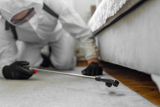 Professional Bed Bug Control technician working in Shreveport, LA