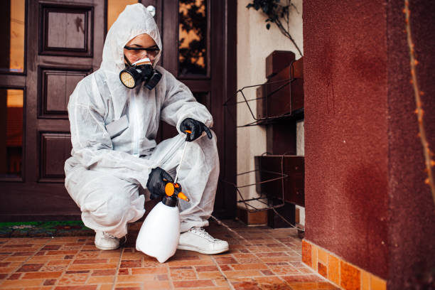Reliable Bed Bug Control contractor in Shreveport, LA by Nex Pest Control