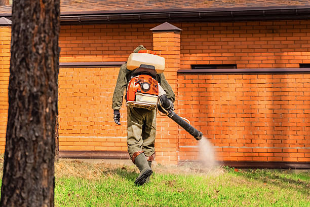 Trusted Termite Control service in Shreveport, LA - Nex Pest Control